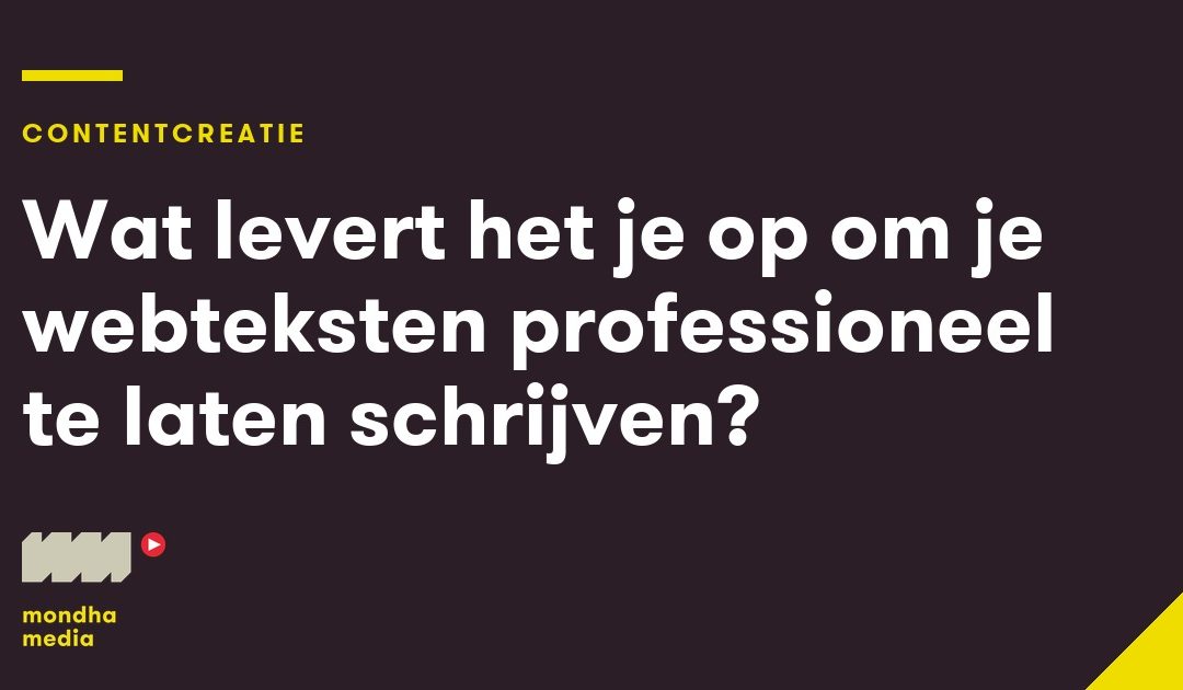 Wat levert het je op om je webteksten professioneel te laten schrijven?