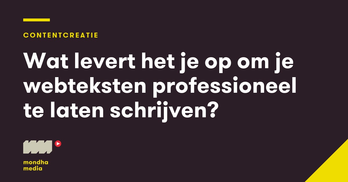Wat levert het je op om je webteksten professioneel te laten schrijven?