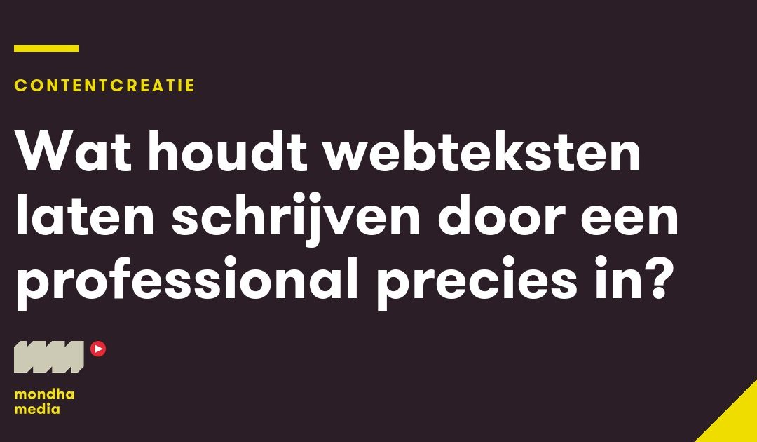 Wat houdt webteksten laten schrijven door een professional precies in?